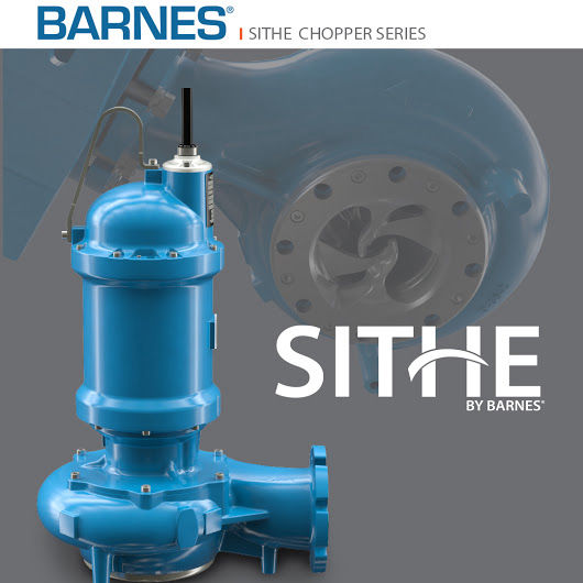 Sithe Chopper Pumps