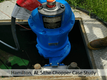 Barnes Sithe Chopper Pump